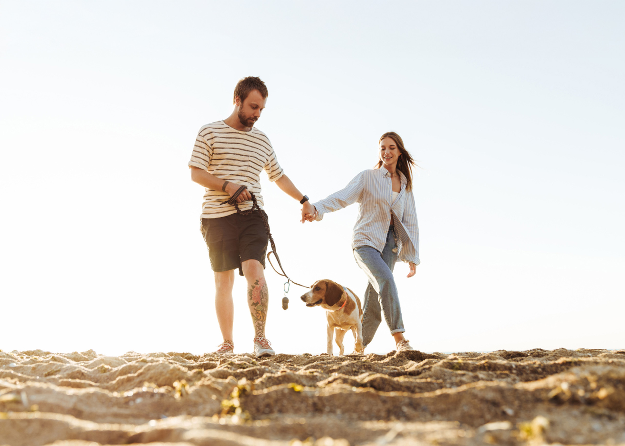 Couple walking dog on sandy beach at sunset.