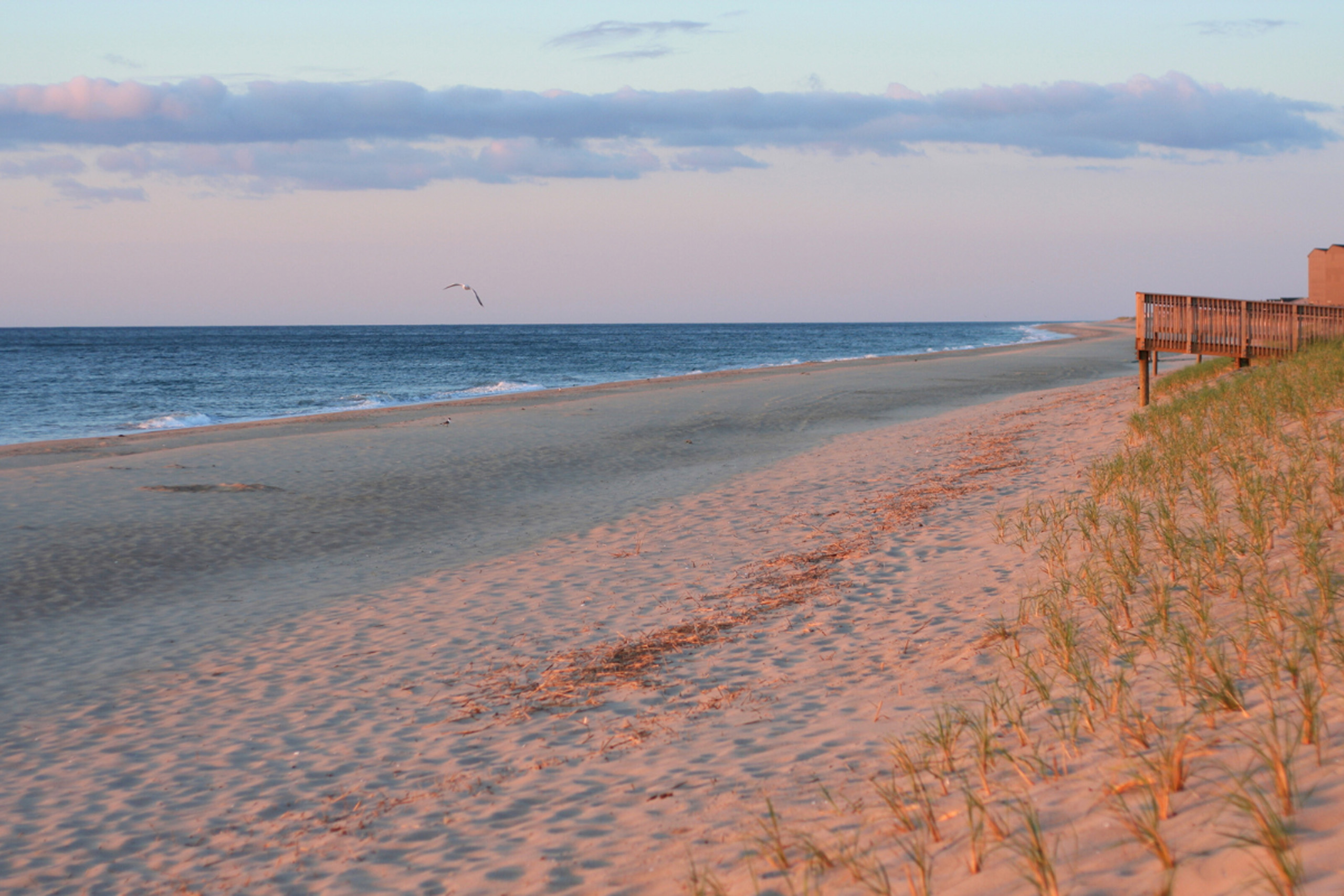 Peaceful beach at sunset with dune grass and boardwalk.