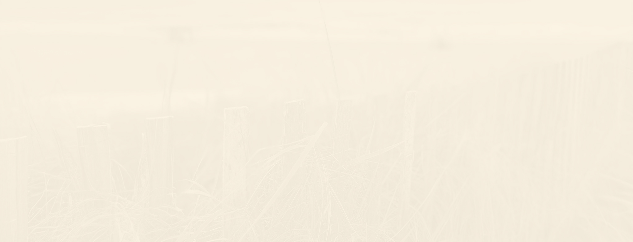 cream background