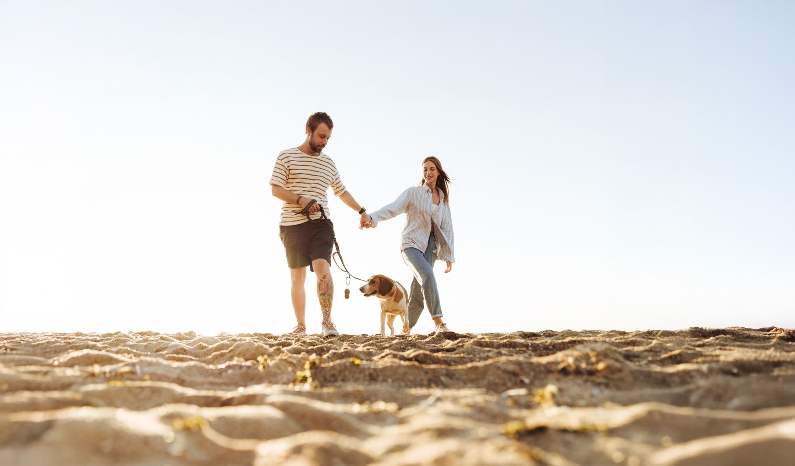Couple walking dog on sandy beach at sunset.