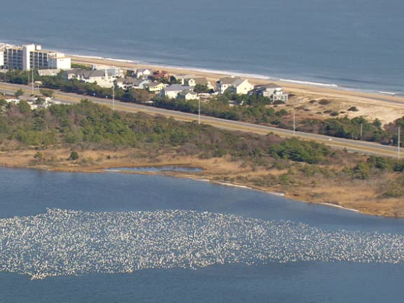 Island with houses and landscape