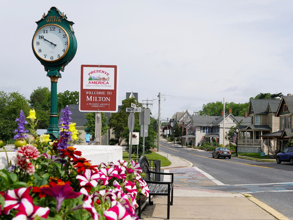 Milton Delaware with flowers in foreground