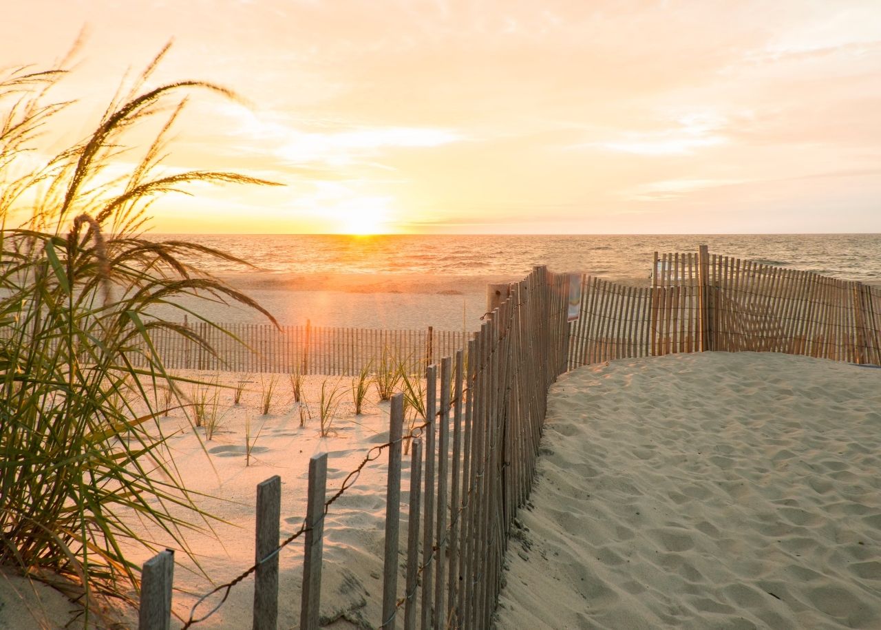 Beach with sand dunes, beach grass, and fence